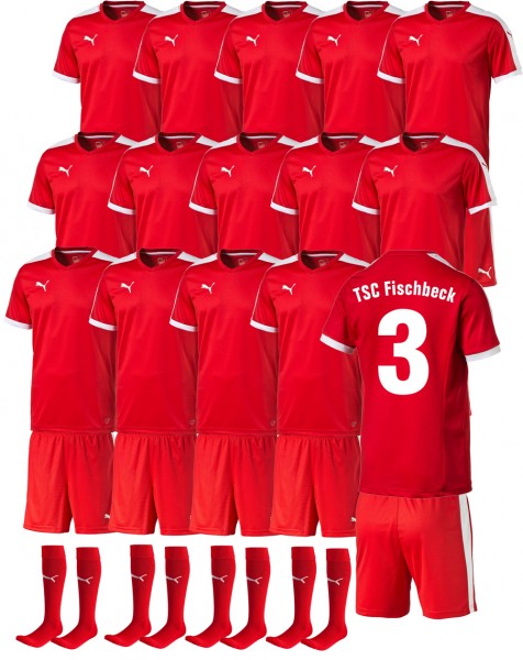 Puma 15er Trikotset Pitch