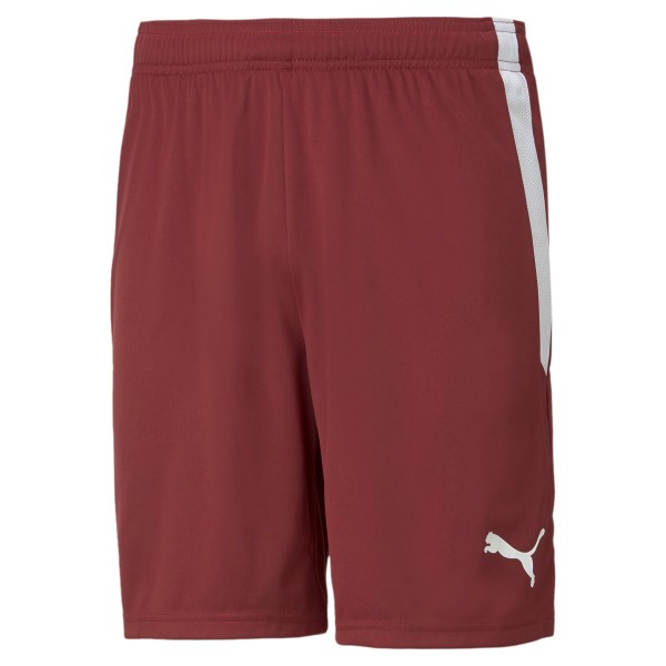 teamLIGA Shorts