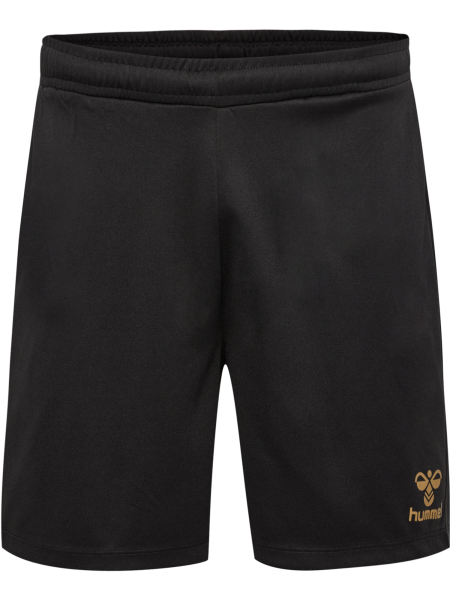 hmlE24C Poly Shorts