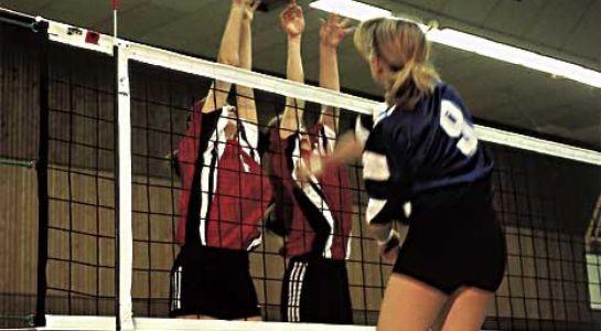 Tuniernetz Volleyball international - DVV1 - 4mm