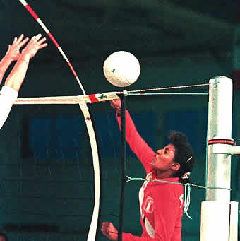 Volleyball-Antennen, einteilig komplett weiß/rot/schwarz 1,80 Meter