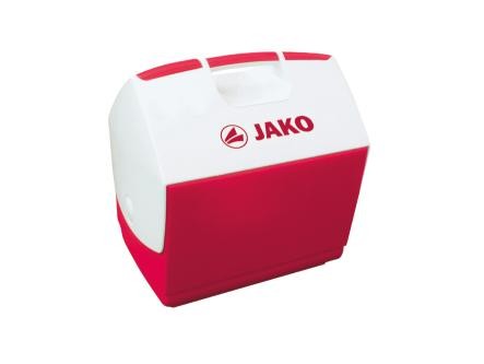 Kühlbox