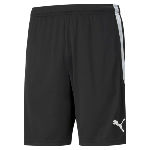 teamLIGA Training Shorts