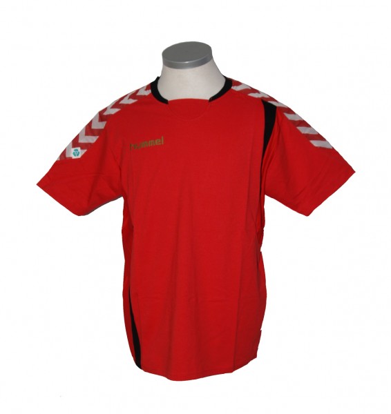 W.C.Characters Training Jersey