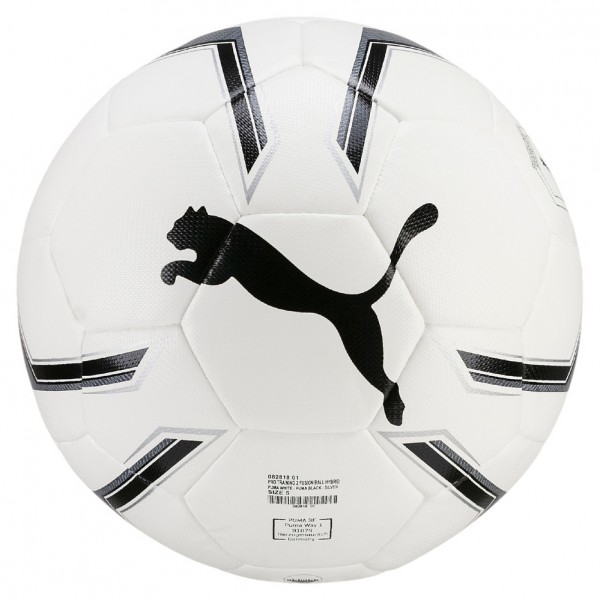 Pro Training 2 HYBRID Ball