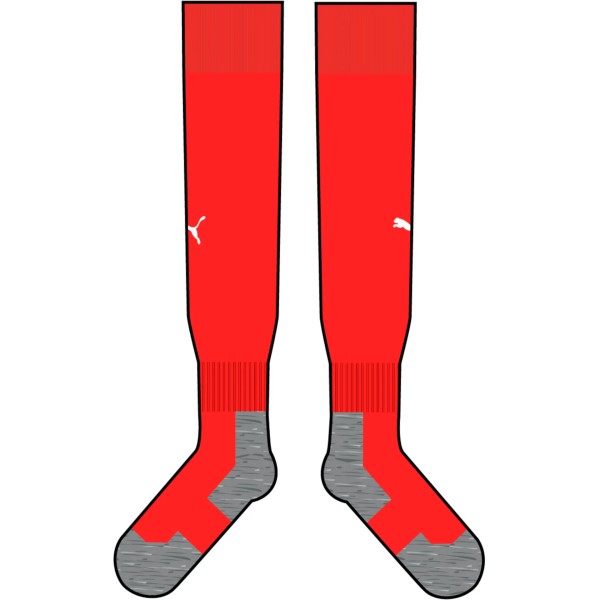 teamLIGA26 Socks Core